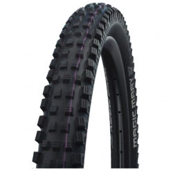 Schwalbe Magic Mary Evo 29'' (62-622) S. Downhill FB TLE - Pneu De Vélo